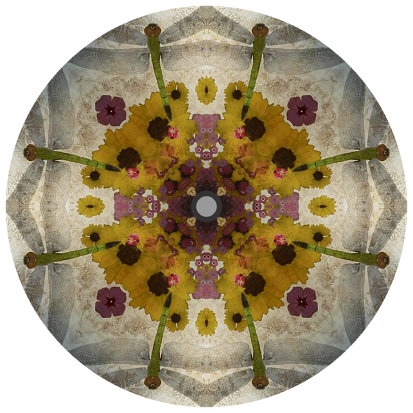 WinterPrint Parasols