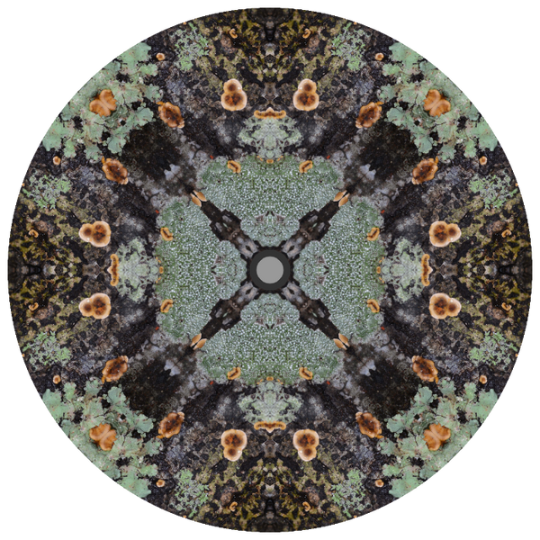 WinterPrint Parasols